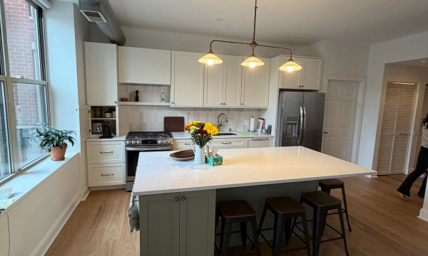 Full gut condo renovation Andersonville Chicago -- kitchen, bathroom, flooring, complete transformation
