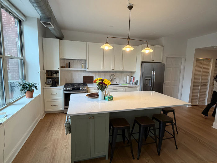 Lakeshore East condo kitchen remodel Chicago -- custom cabinetry by Assembly Squad
