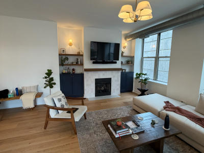 West Loop condo living room after remodel -- blue painted storage cabinets 1001 W Madison