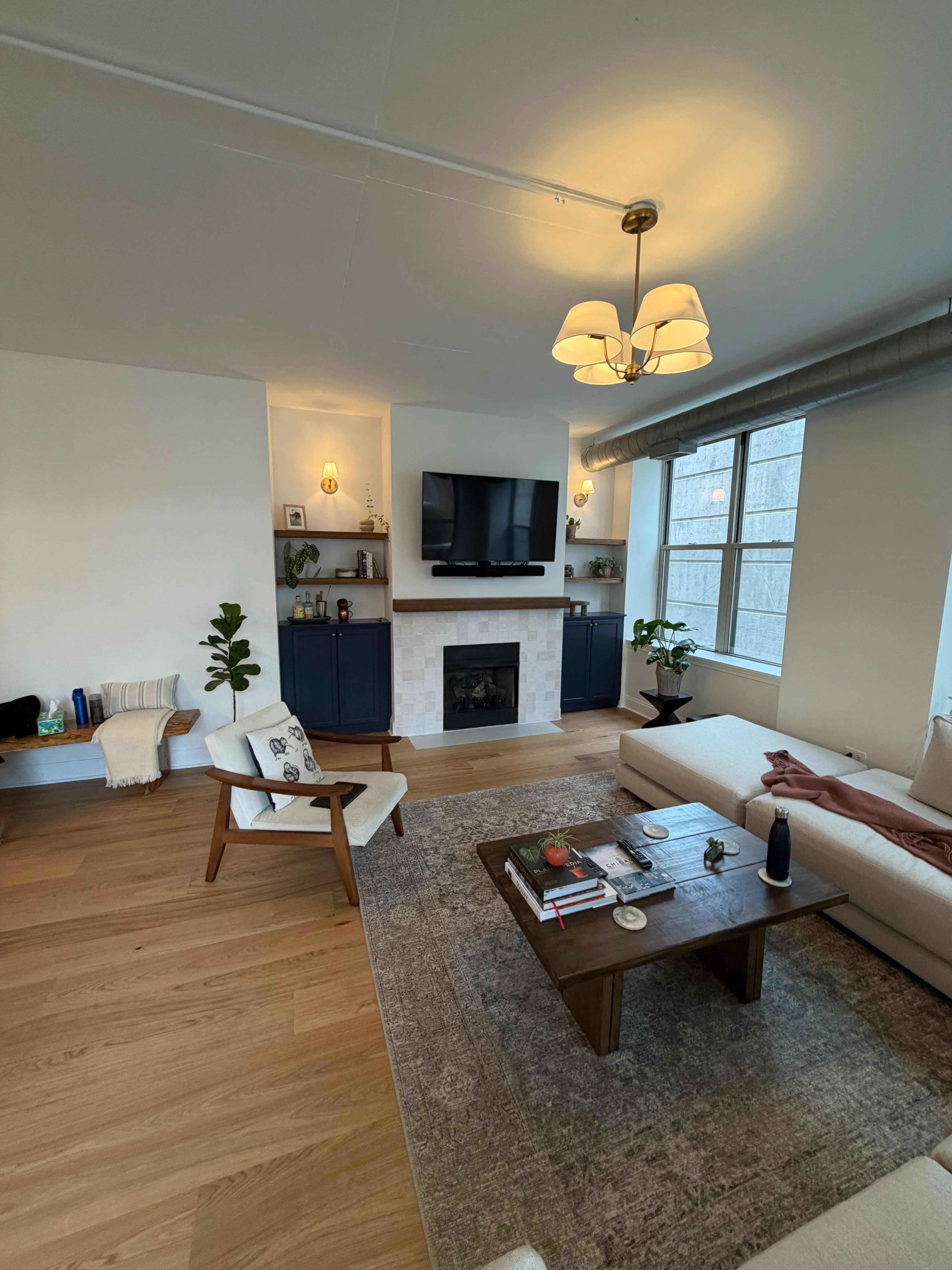 West Loop condo after remodel - living room storage