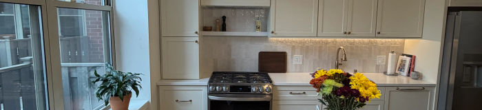 Custom kitchen island -- 1001 W Madison St West Loop condo remodel
