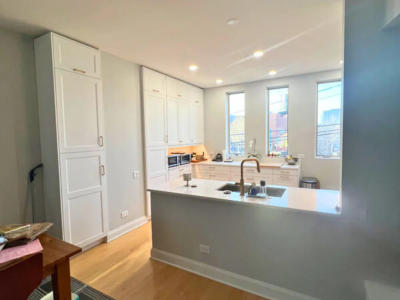 Custom kitchen cabinets MSI quartz 1234 W Cottage Place West Loop Chicago renovation