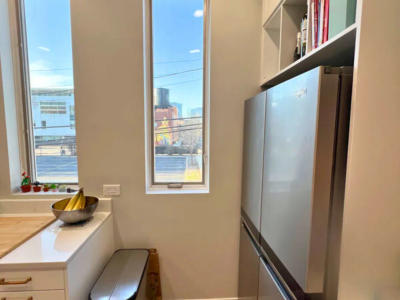 Kitchen lighting and finishes 1234 W Cottage Place West Loop renovation Chicago