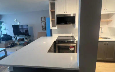 Lincoln Park open concept kitchen