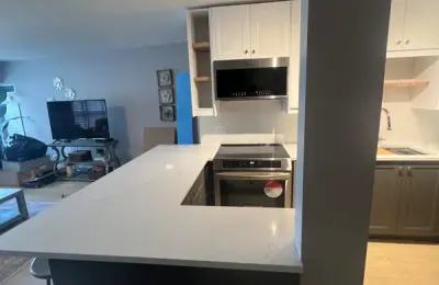 Lincoln Park open concept kitchen renovation at 350 W Belden with wall removal and custom cabinetry