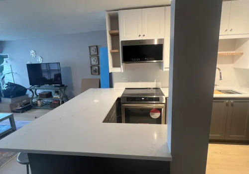 Lincoln Park open concept kitchen at 350 W Belden