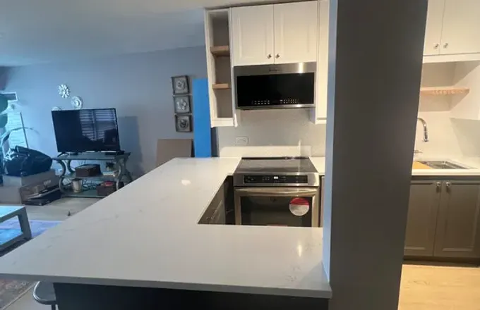 Lincoln Park open concept kitchen at 350 W Belden by Assembly Squad