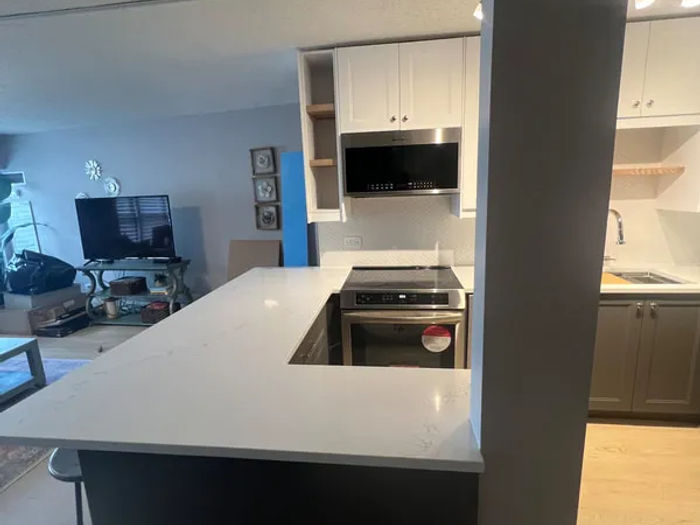 Andersonville two-flat kitchen remodel -- open concept conversion, Chicago 60640