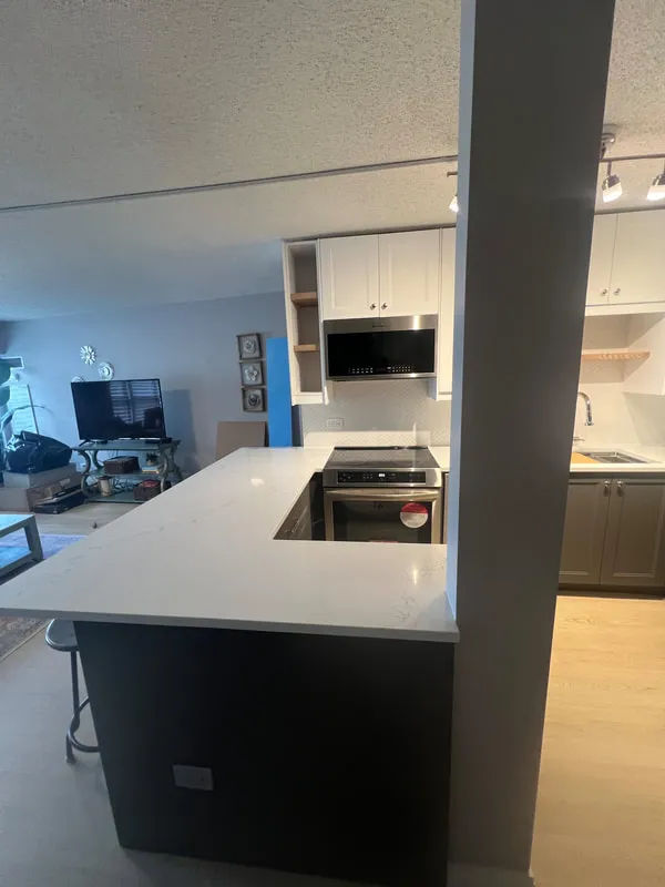 Lincoln Park kitchen