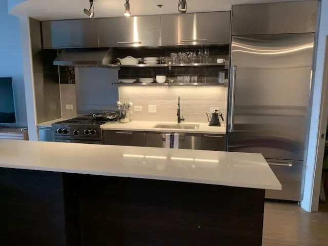 South Loop chef's kitchen with stainless steel cabinets and restaurant design