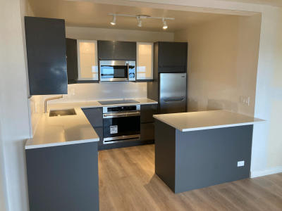 Lakeview condo renovation 2626 N Lakeview Chicago -- modern kitchen investor rental property