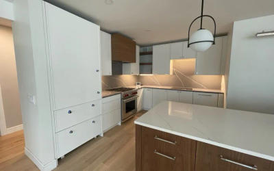 Bucktown two-tone kitchen renovation