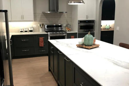 Backsplash detail Lincoln Park luxury kitchen renovation Chicago