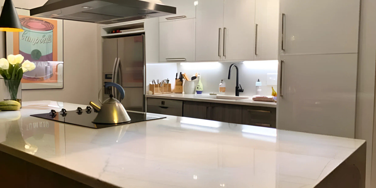 800 Elgin Rd Evanston kitchen remodel -- modern European IKEA Semihandmade design after