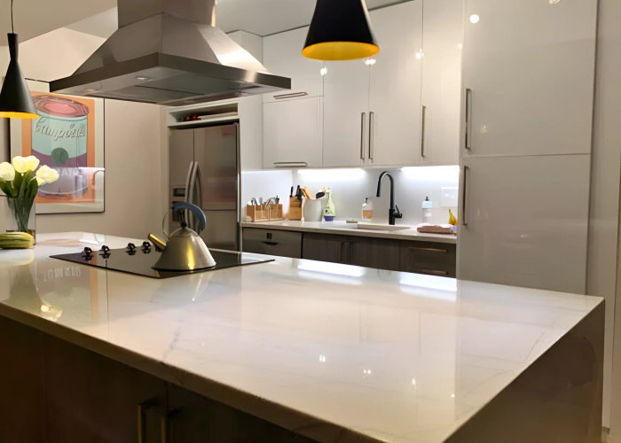 800 Elgin Rd Evanston kitchen after remodel -- IKEA Semihandmade custom doors Vicostone Misterio quartz open concept