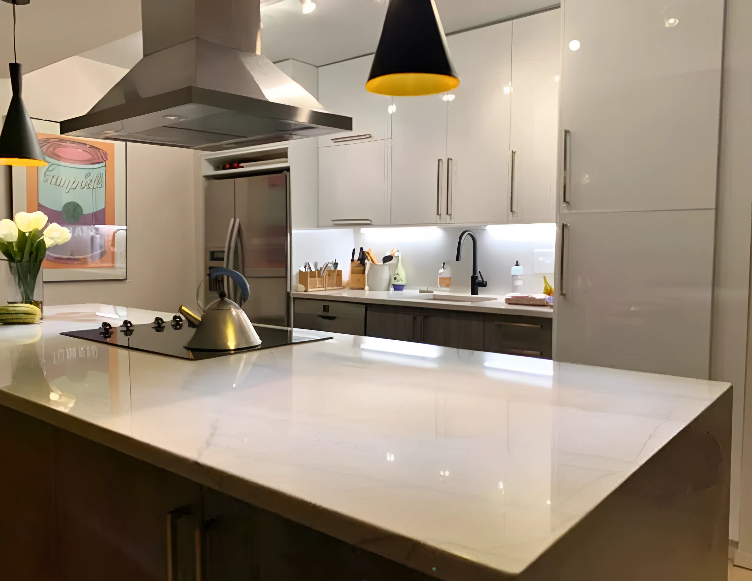 Modern European kitchen remodel at 800 Elgin Rd Evanston with custom IKEA cabinets, Semihandmade doors, and Vicostone Misterio quartz countertops