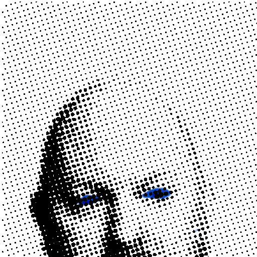 Bald Founder Index