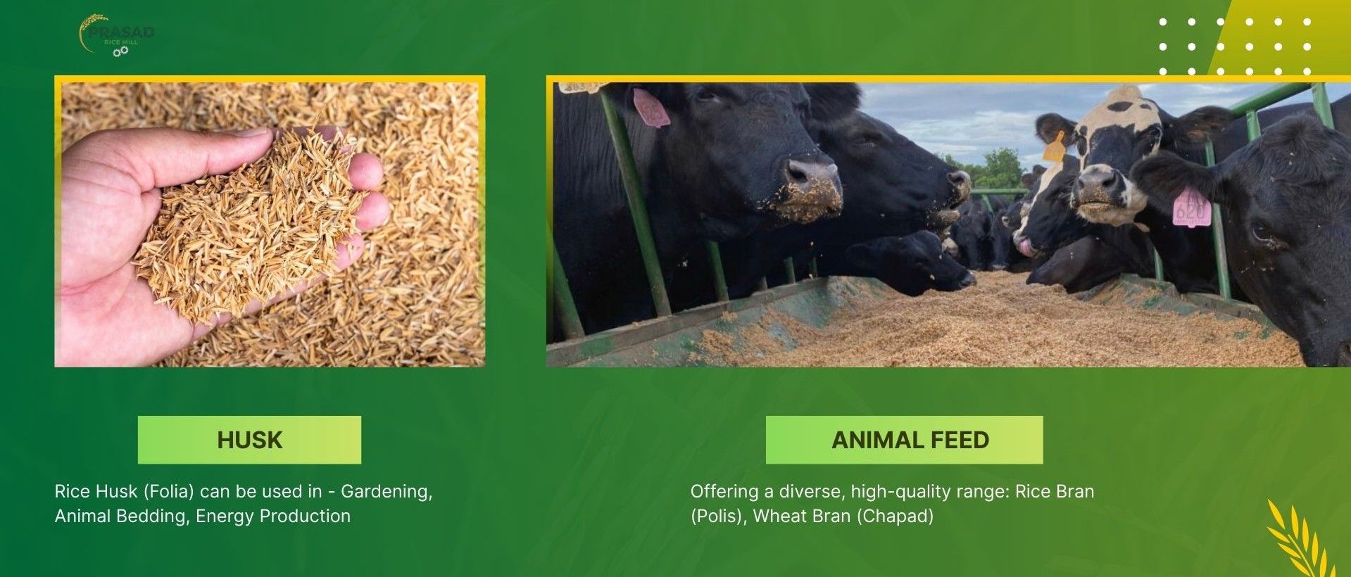 Animal Feeds Banner