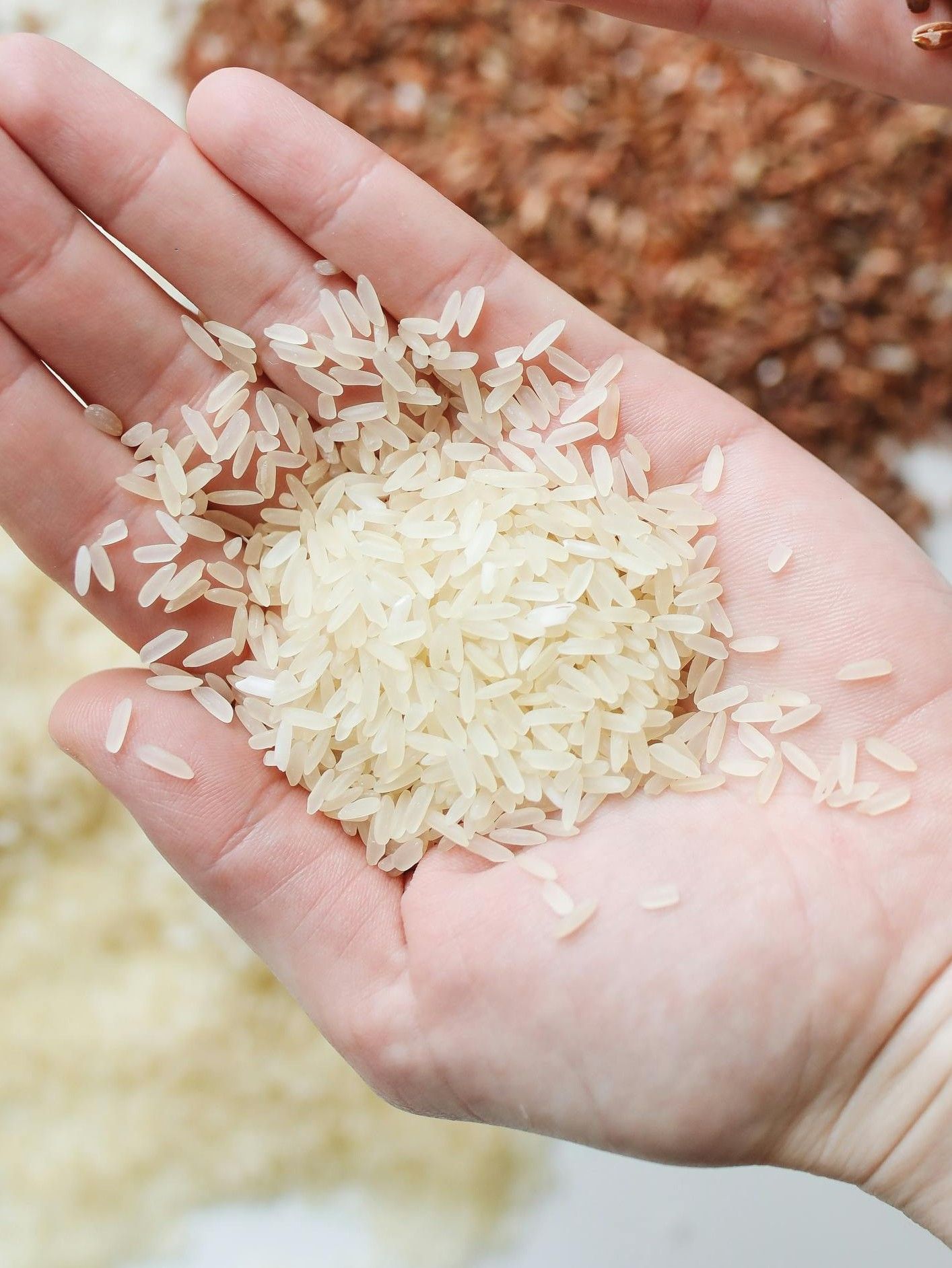 Rice image