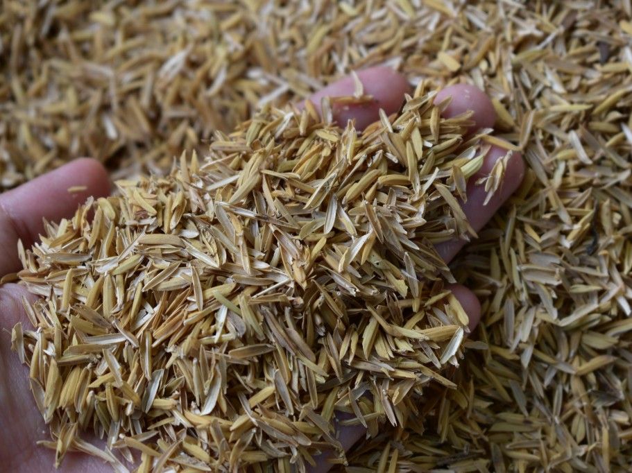 Paddy Husk