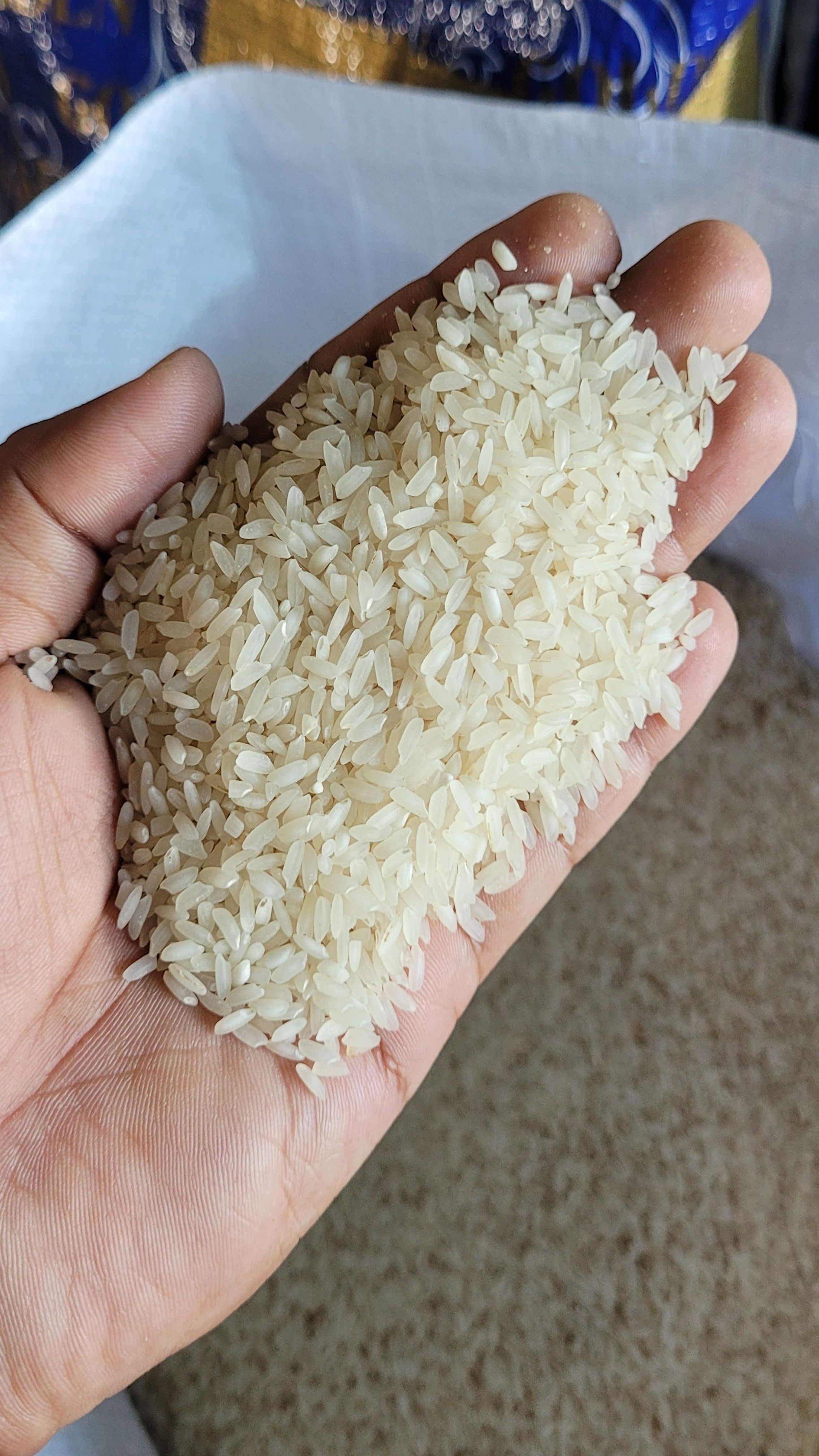 White Rice (Ranjit) (6-12 months old)