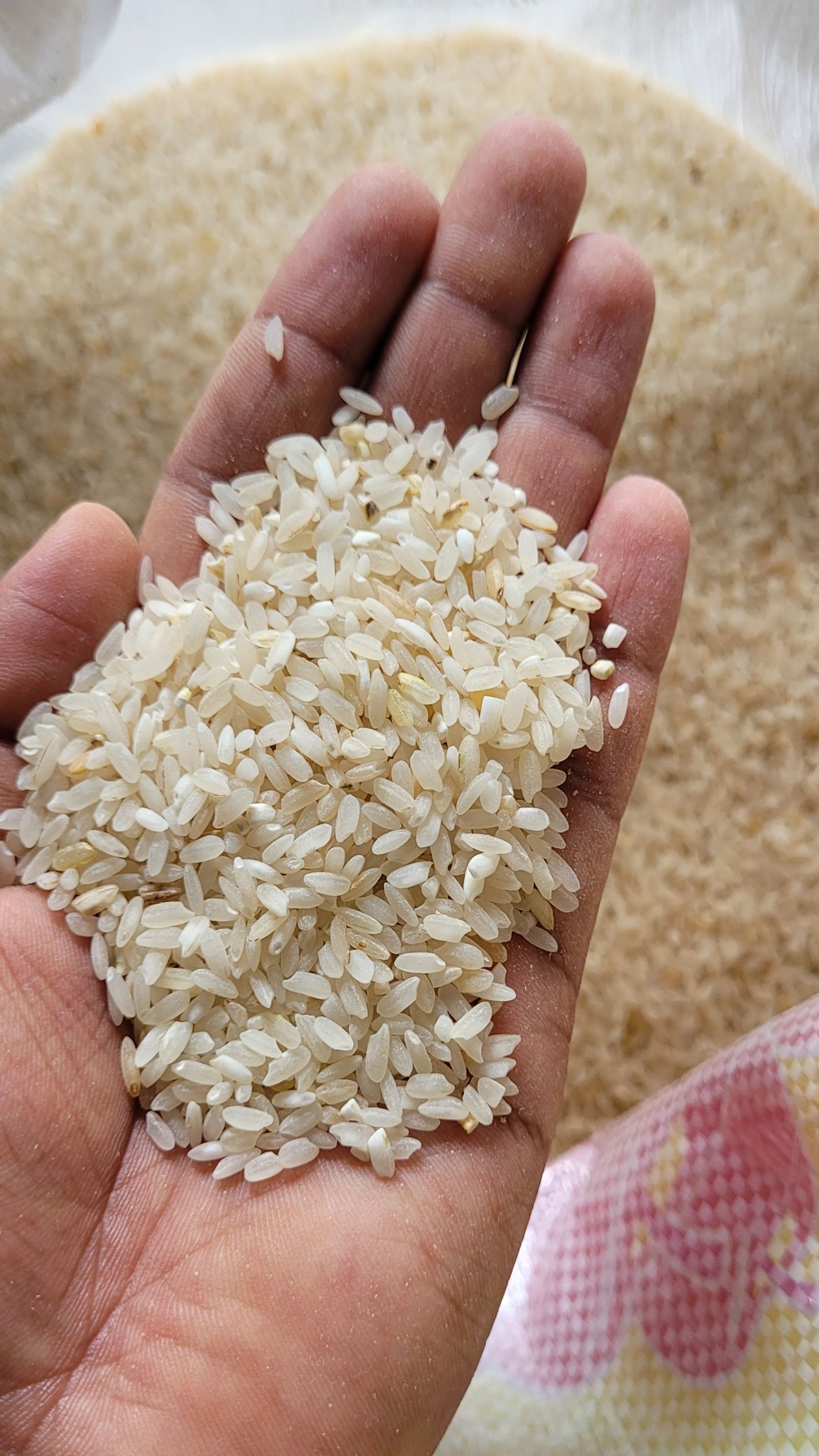 White Rice (Goya) (6-12 months old)