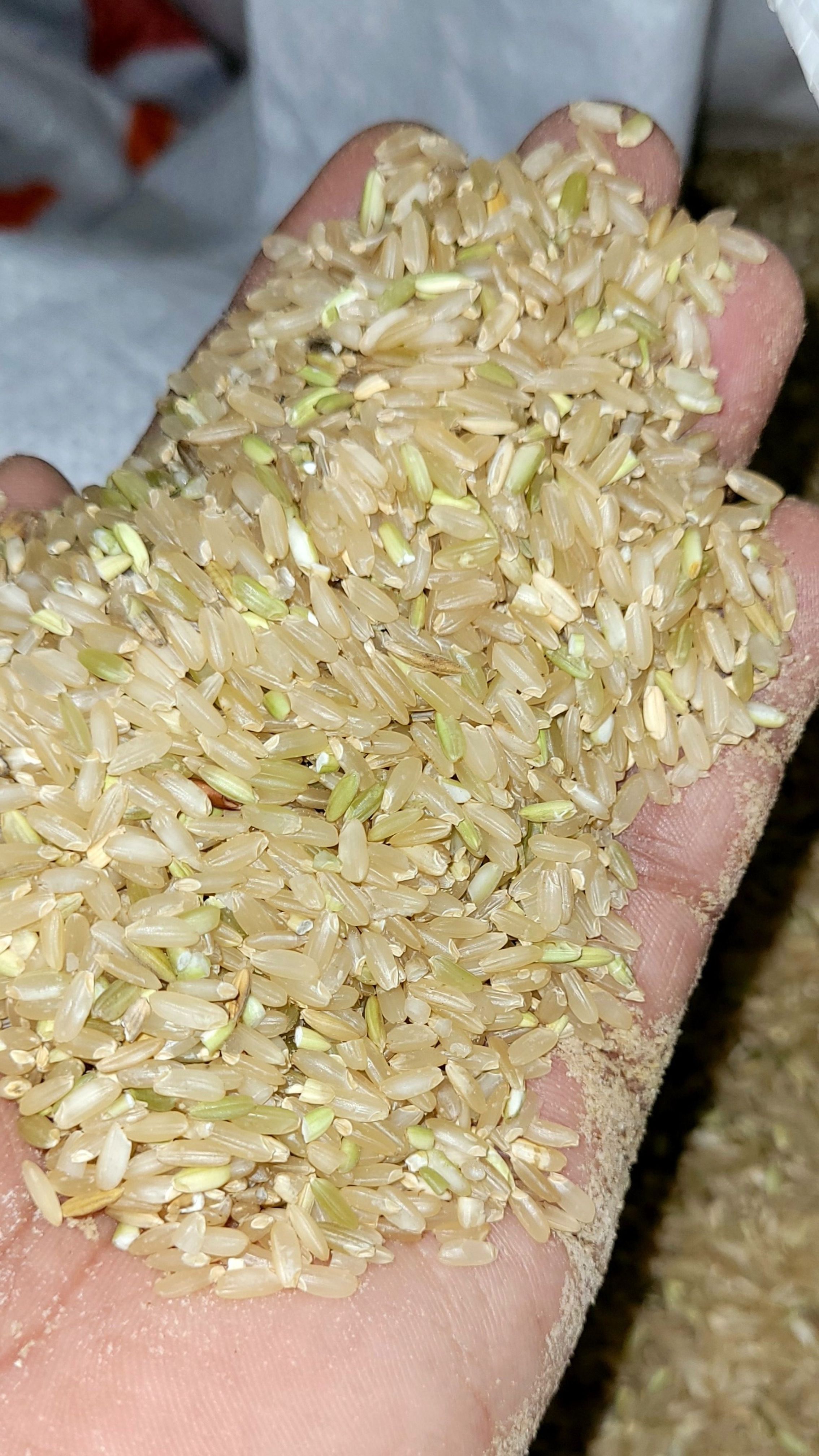 Unpolished (Brown) Rice (Goya)