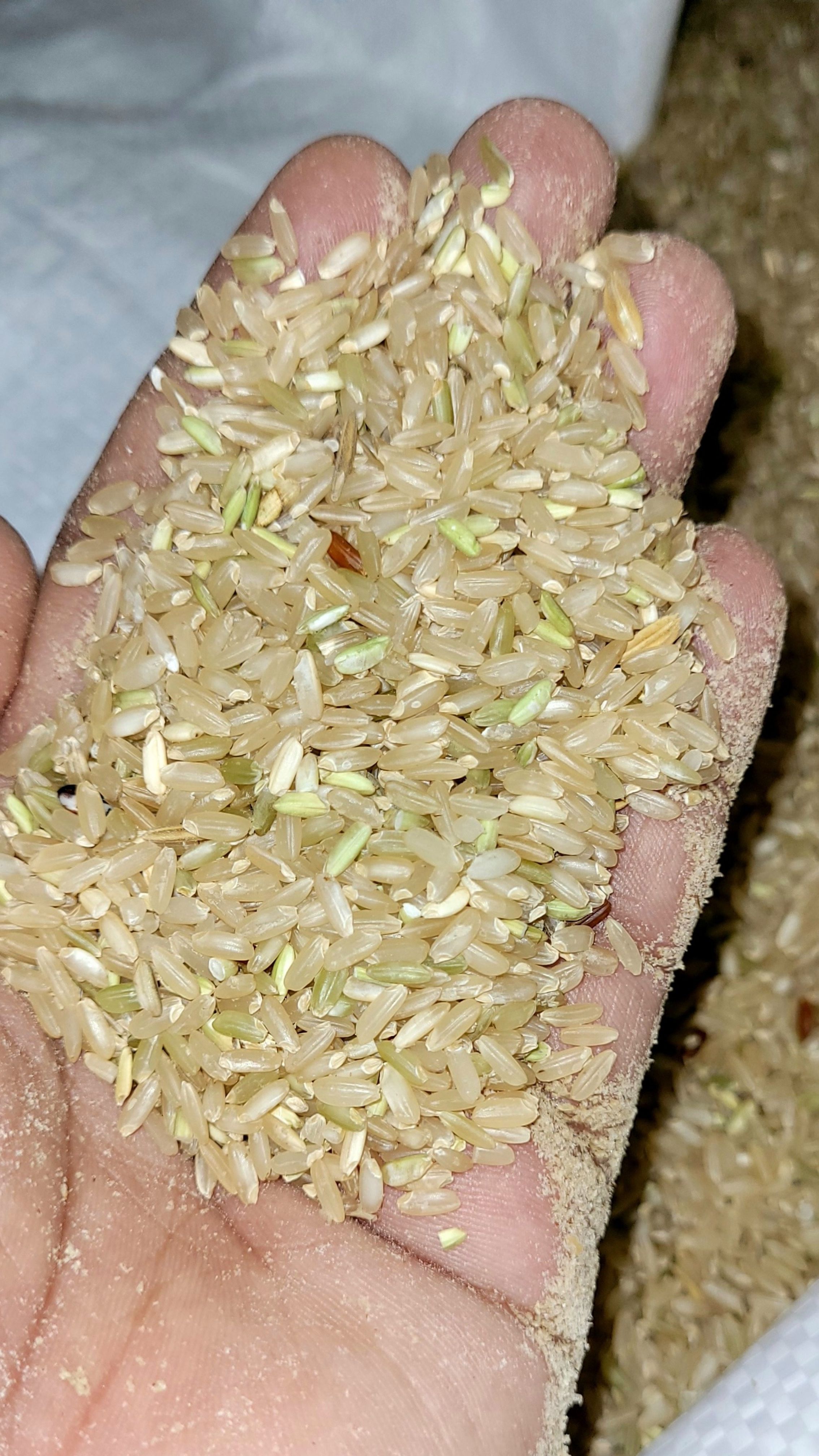 Unpolished (Brown) Rice (Goya)