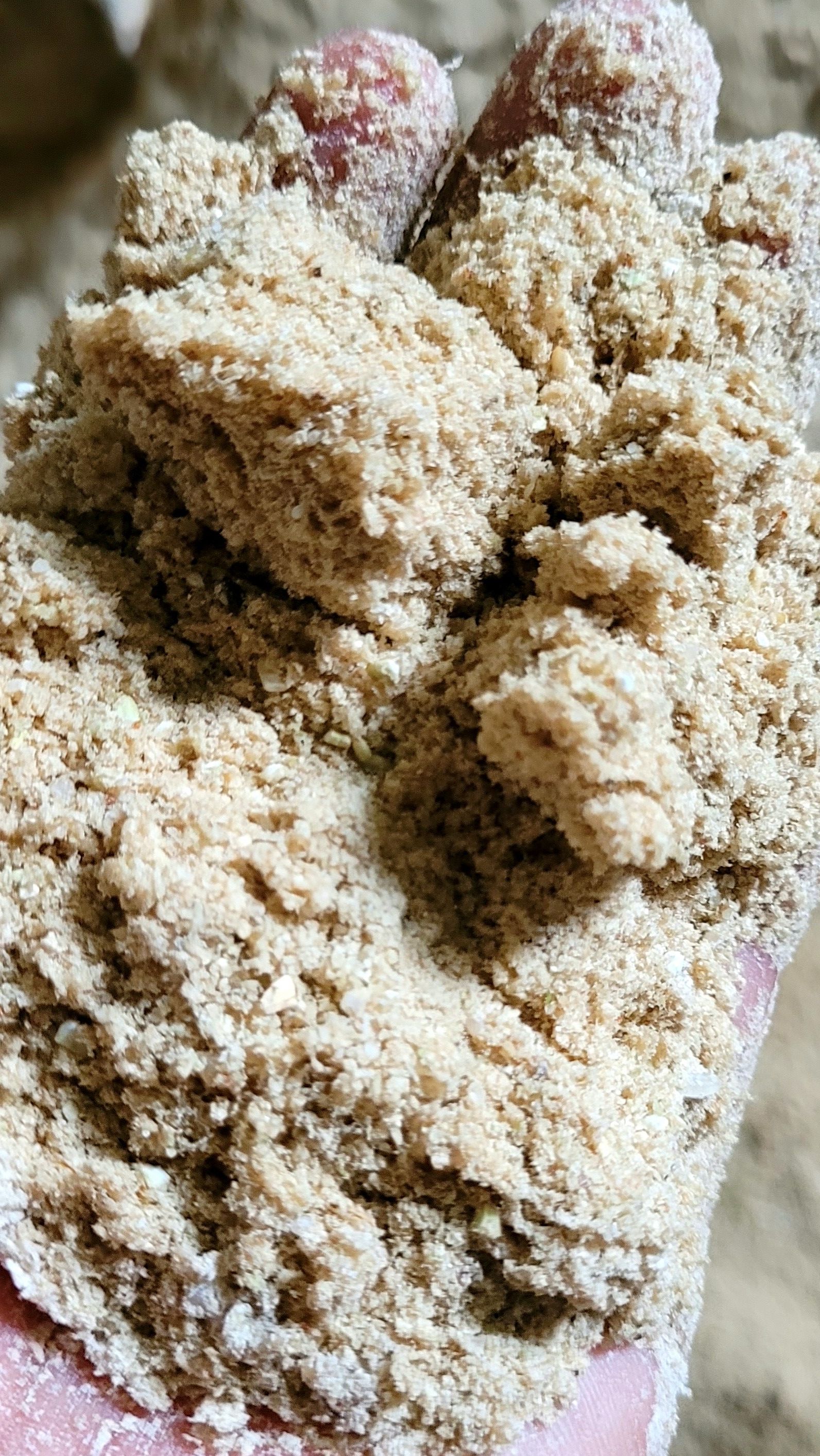 Rice Bran (Polis) (28 kg)