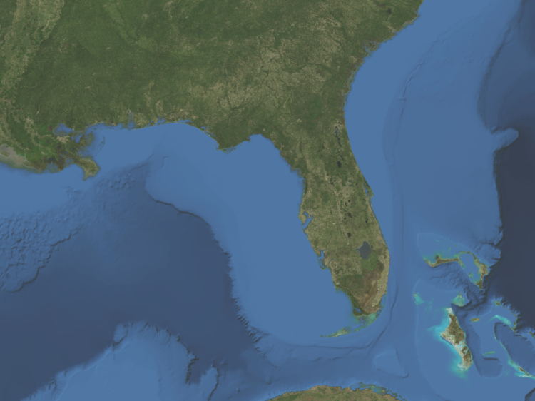 Florida 12Hour Animated Weather Radar