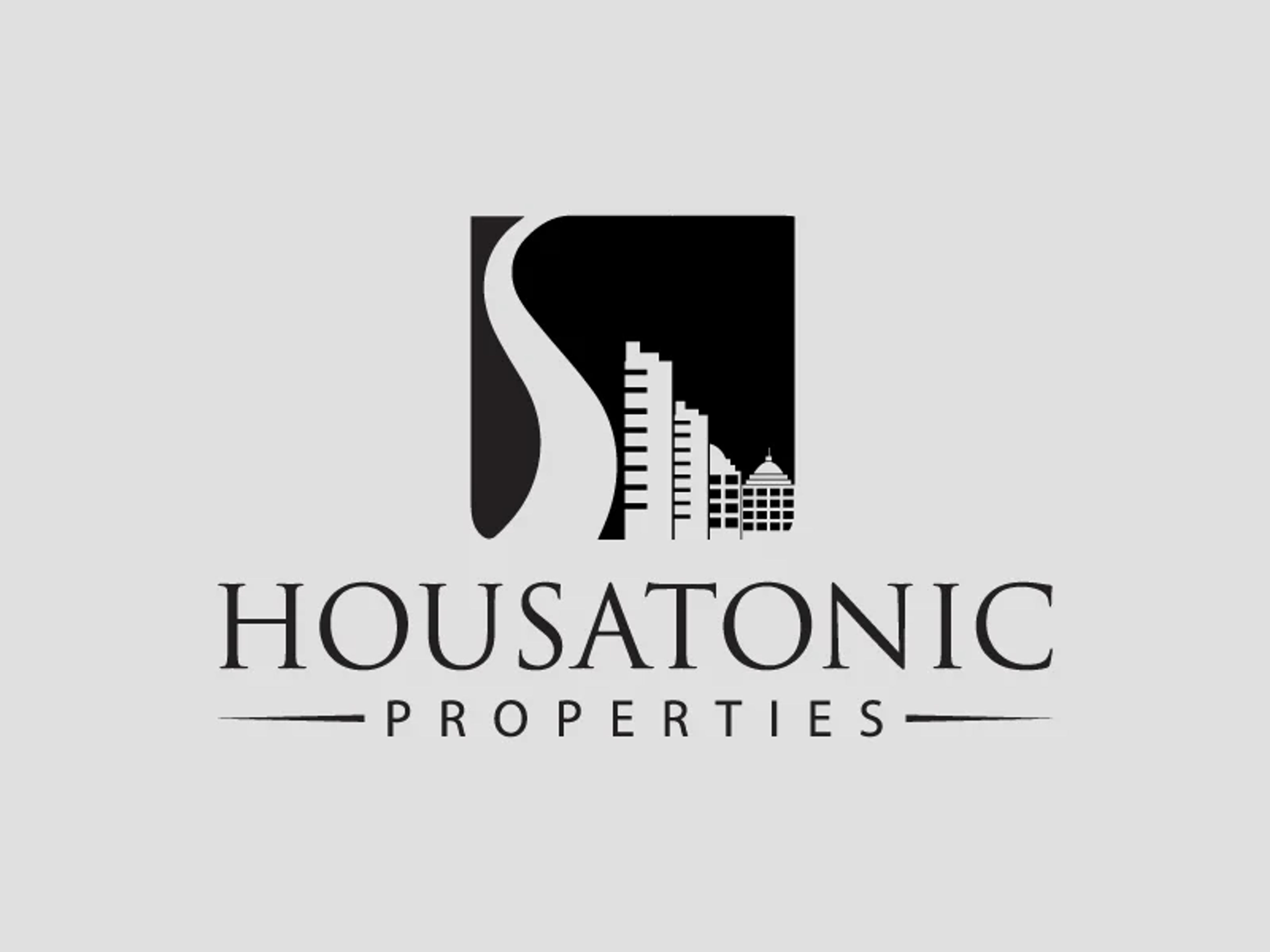 Logo — Light background