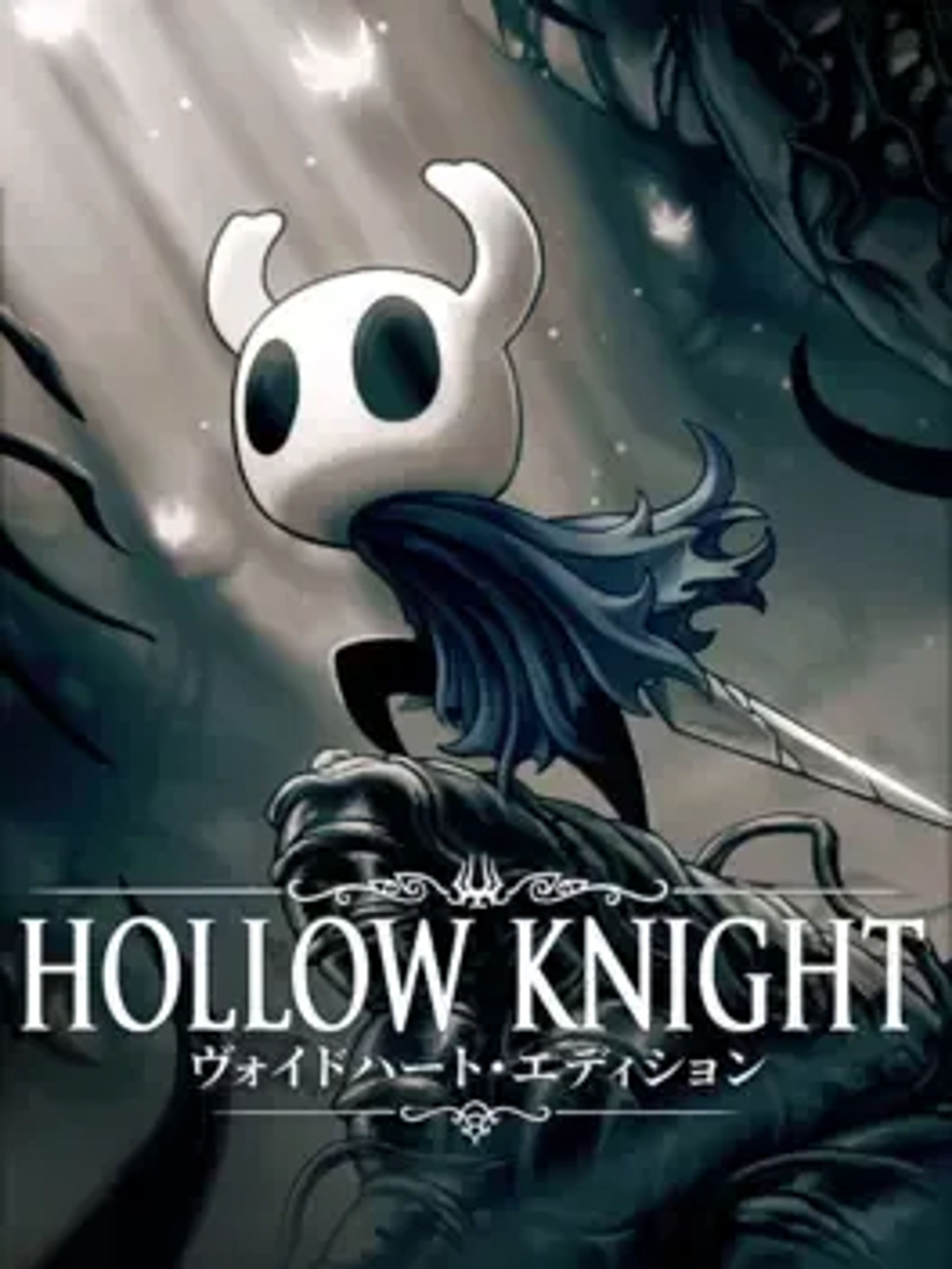 Hollow Knight