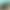 DSCN2803.JPG