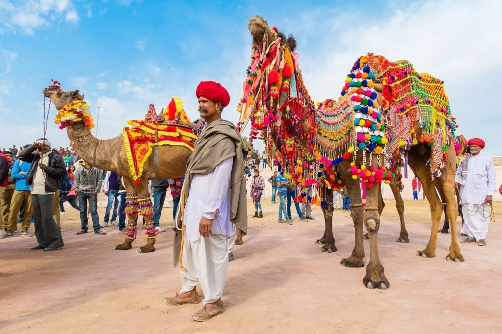 Pushkar%20Camel%20Fair,%20Rajasthan