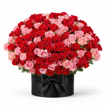 200 Roses in Hat Box | Luxury Florist Bedfordview