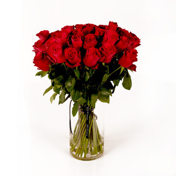 Roxanne - Red Roses