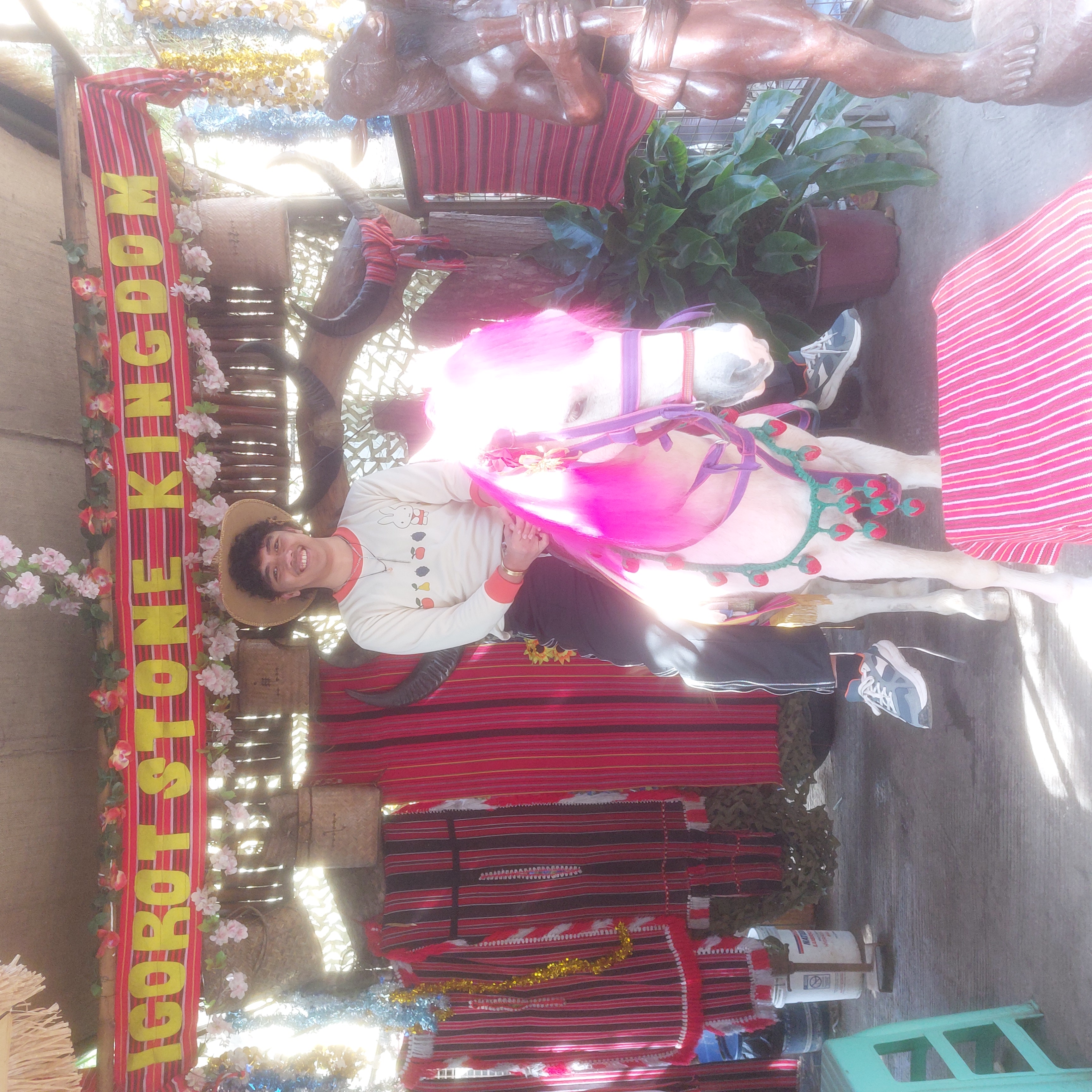 Me on a horse with pink hair.