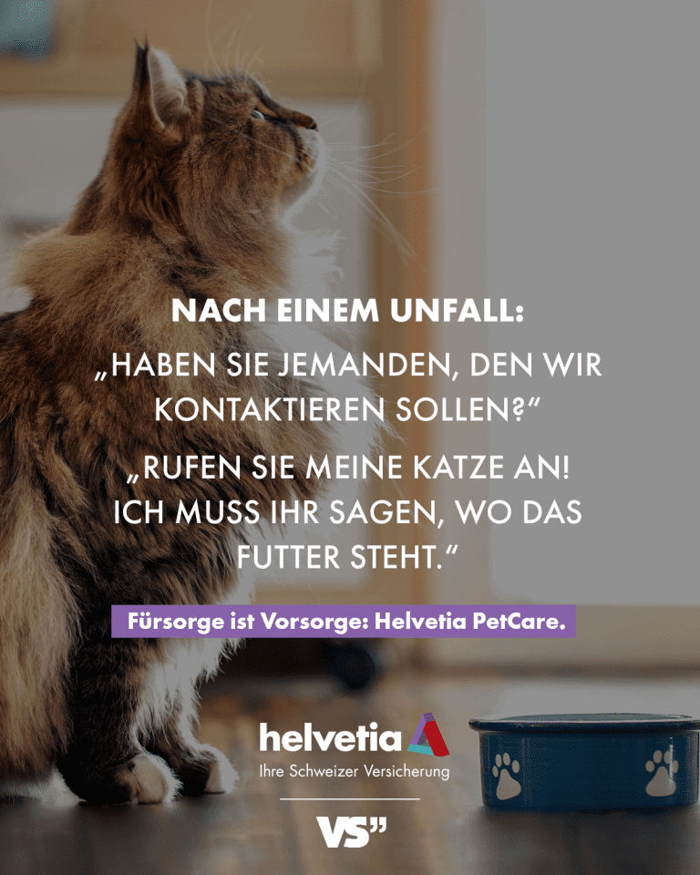 Nach einem Unfall: "Haben Sie jemanden, den wir kontaktieren sollen?" "Rufen Sie meine Katze an! Ich muss ihr sagen, wo das Futter steht." Social-Media-Kampagne für helvetica.