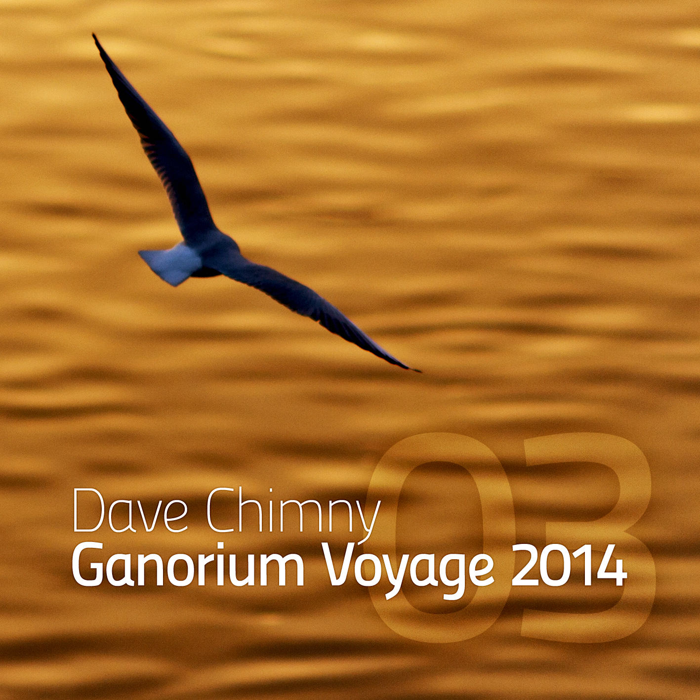 Ganorium Voyage 2014-03