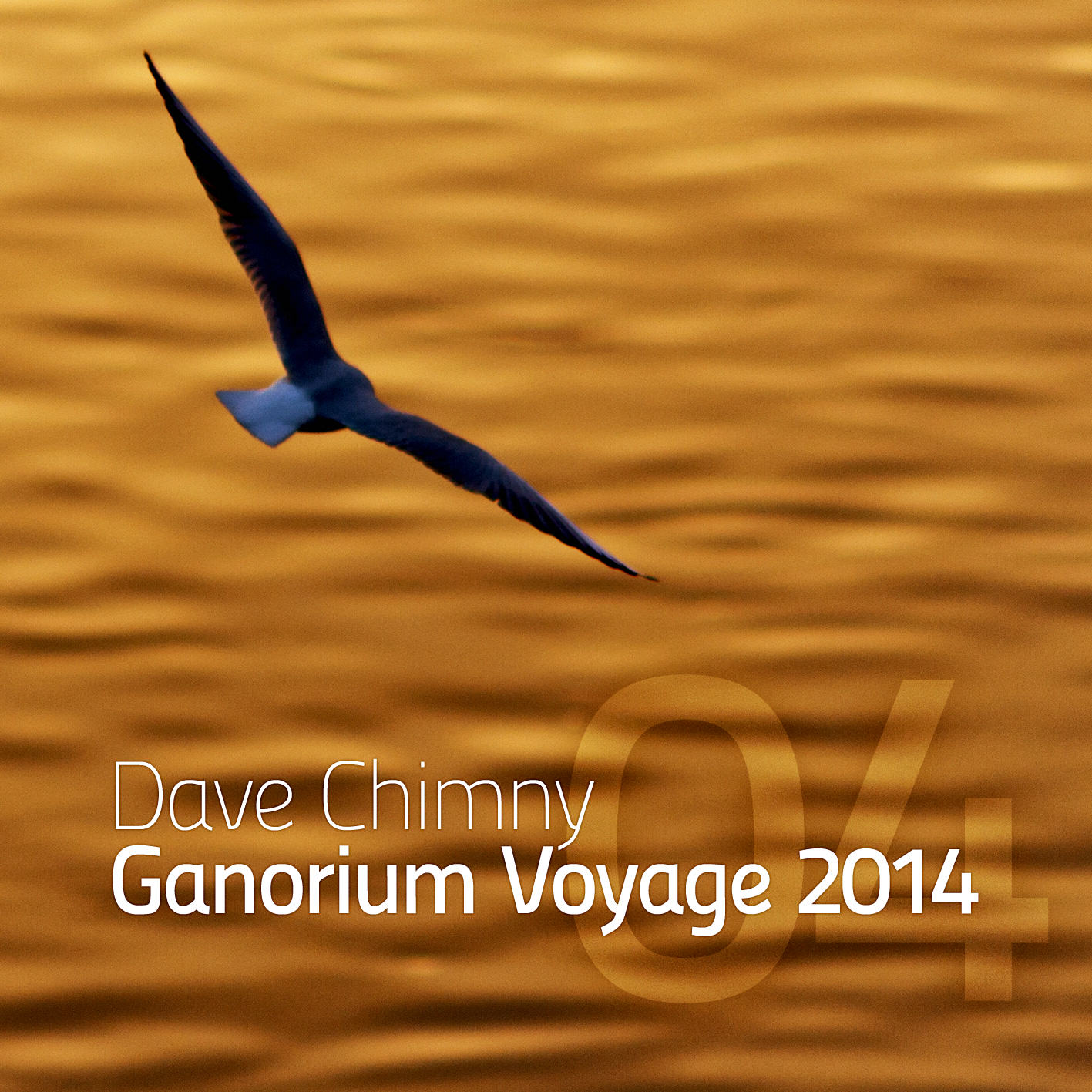 Ganorium Voyage 2014-04