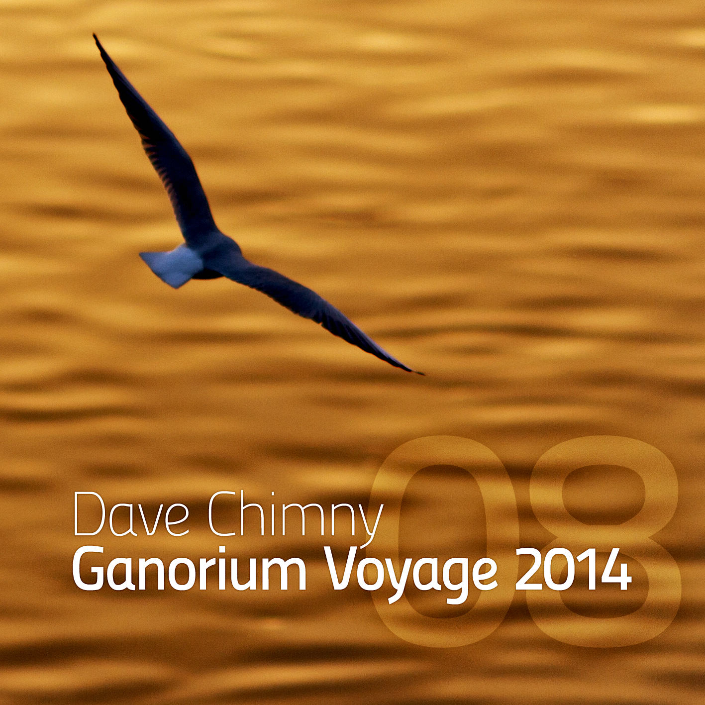 Ganorium Voyage 2014-08