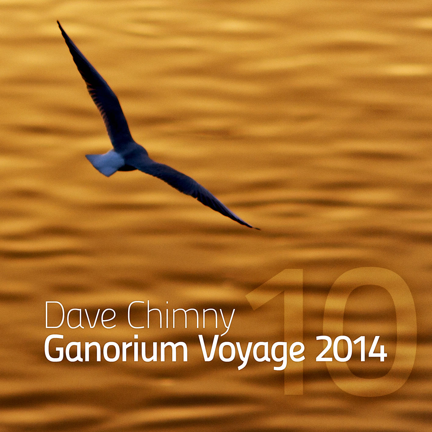 Ganorium Voyage 2014-10