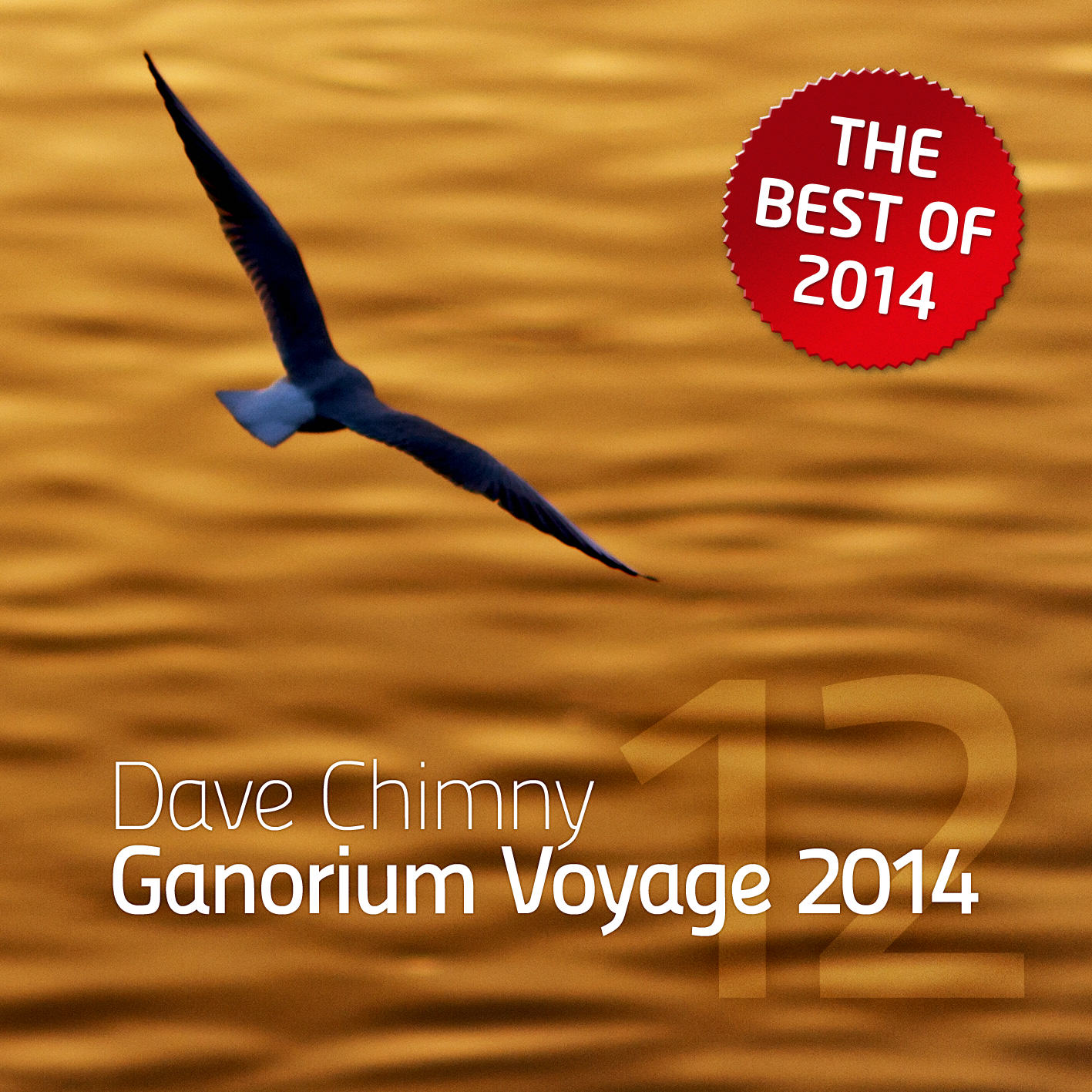 Ganorium Voyage 2014-12