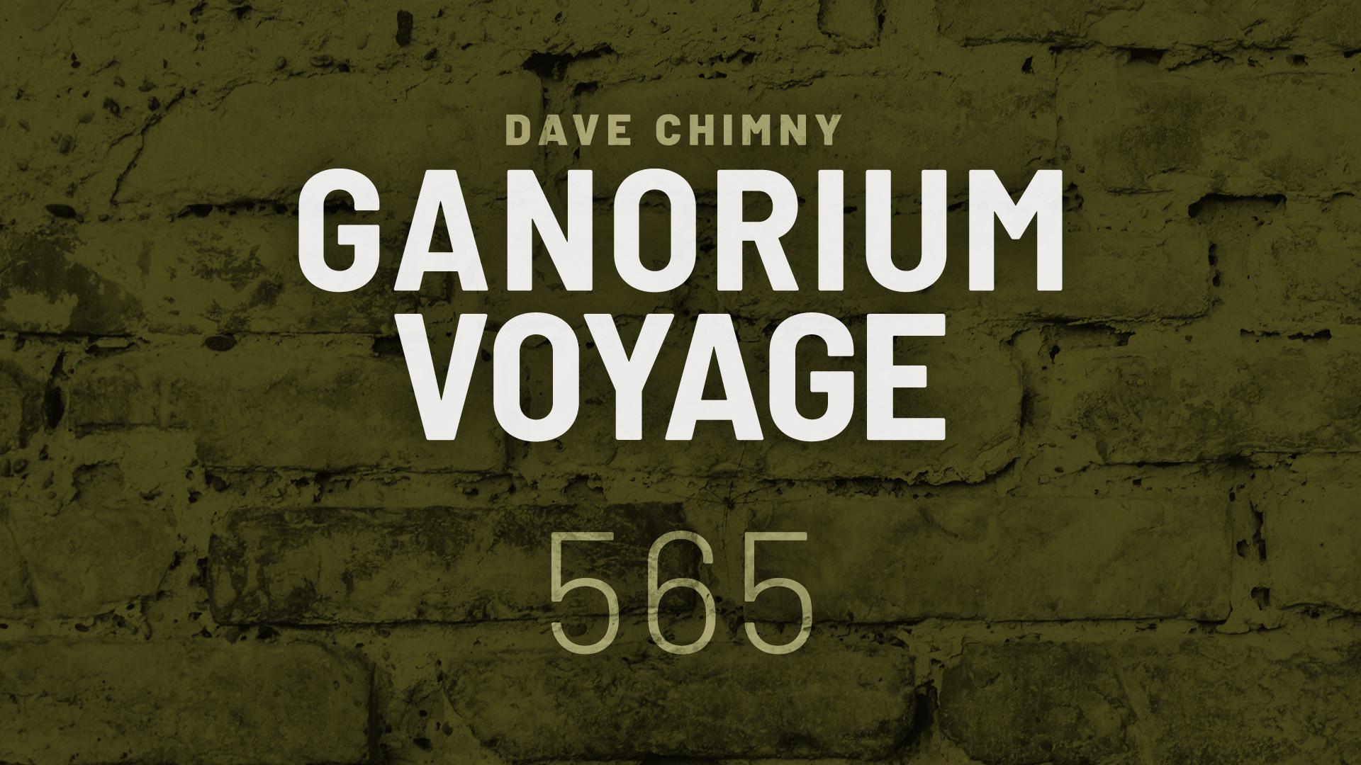 Dave Chimny – Ganorium Voyage, Teaser 565