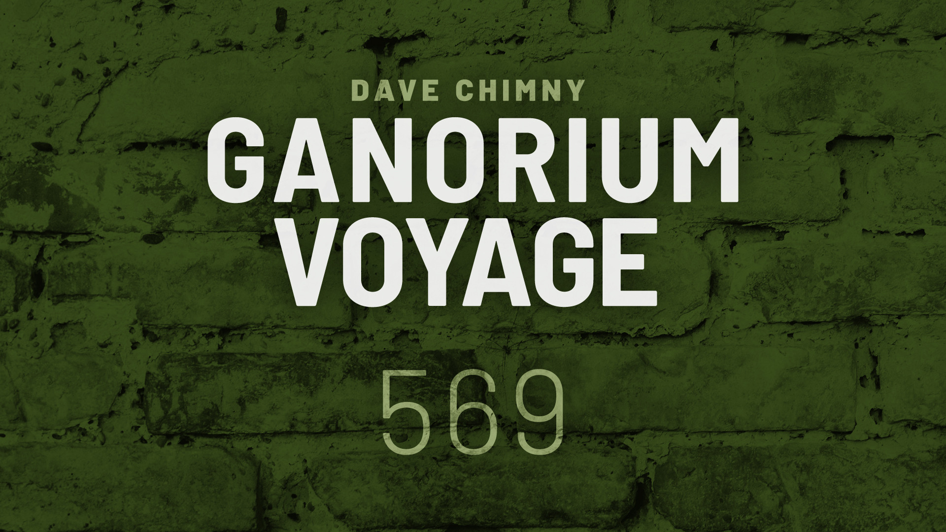 Dave Chimny – Ganorium Voyage, Teaser 569