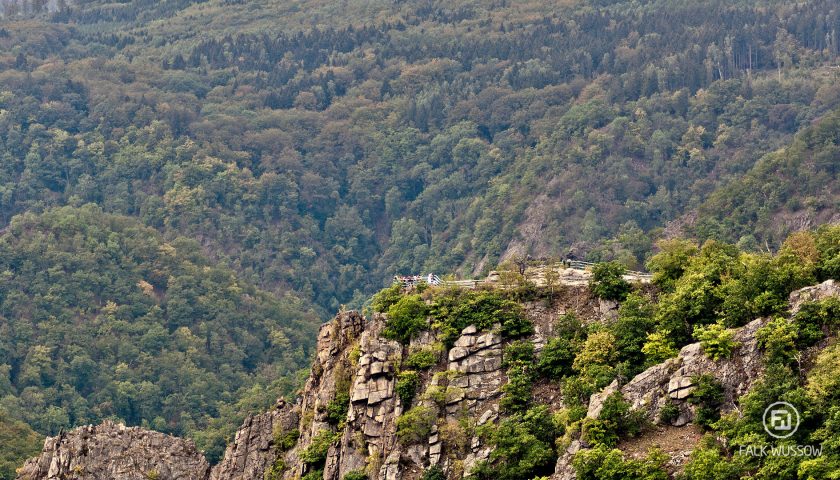 Harz IV