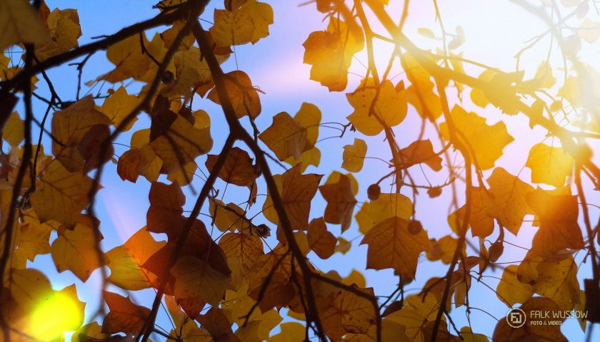 Es wird Herbst