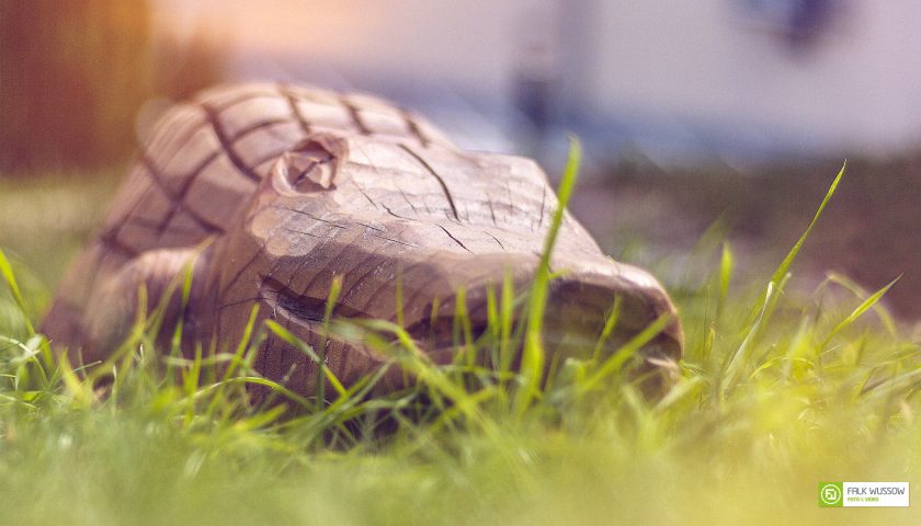 Holzreptil