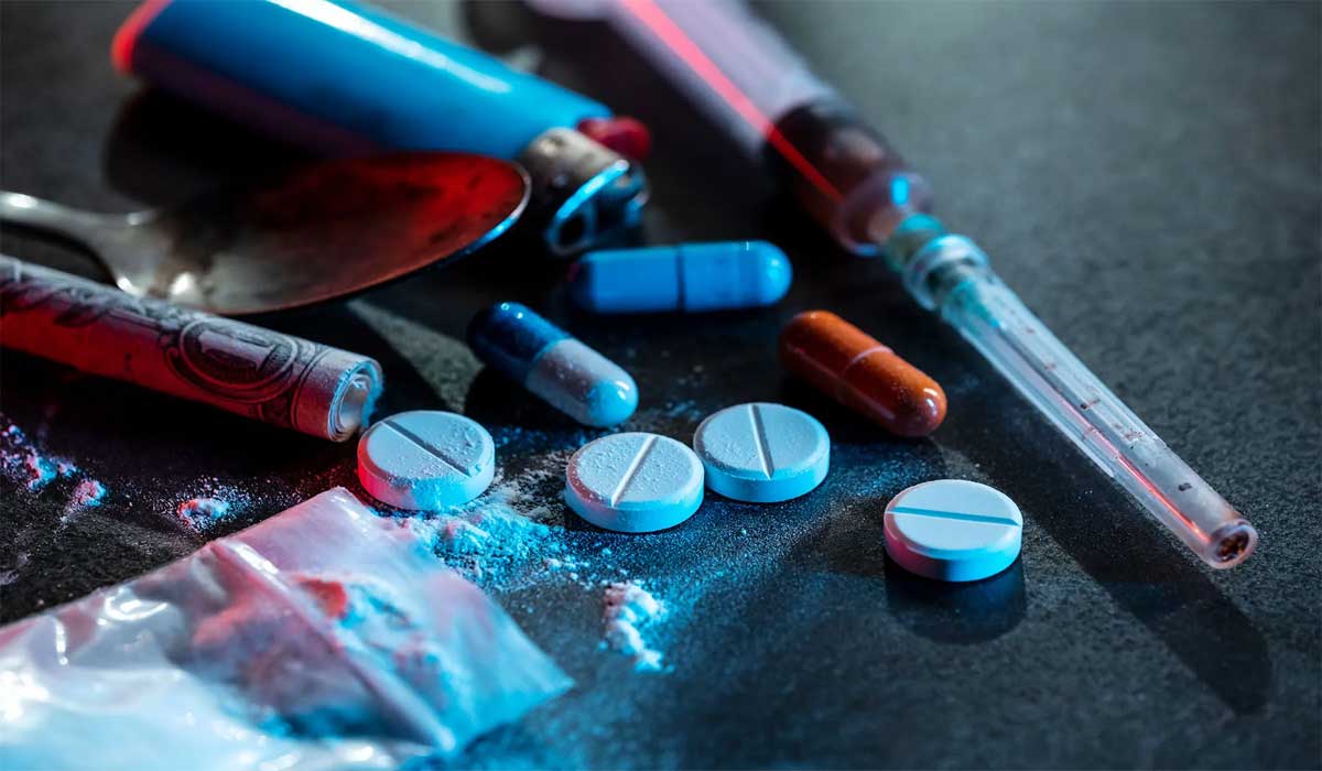  The Physical and Mental Impact of Drugs 