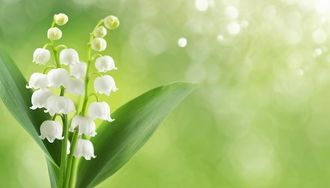 muguet 1er mai